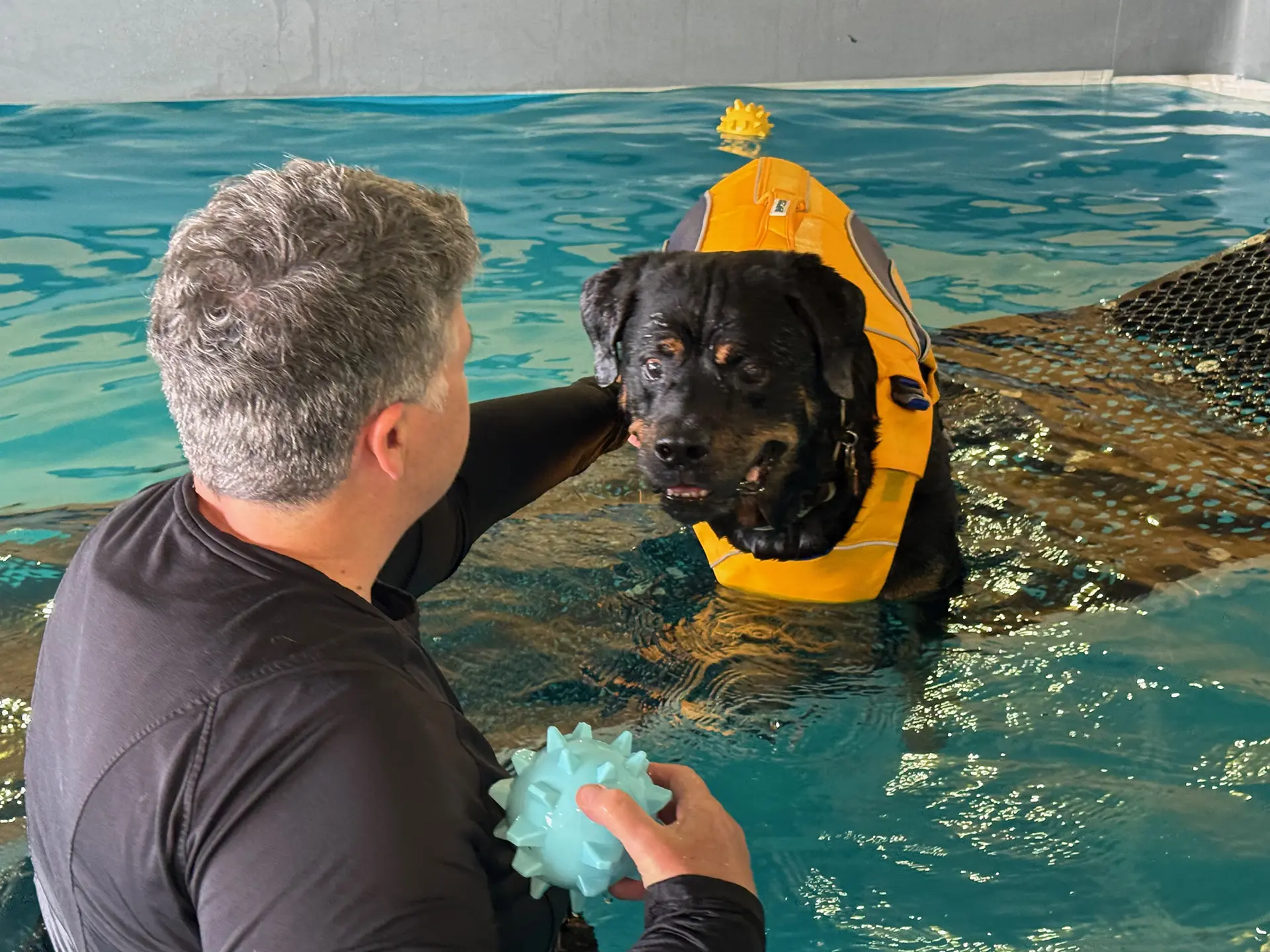Kate helping the black dog wearing orange flotation vest in therapy pool