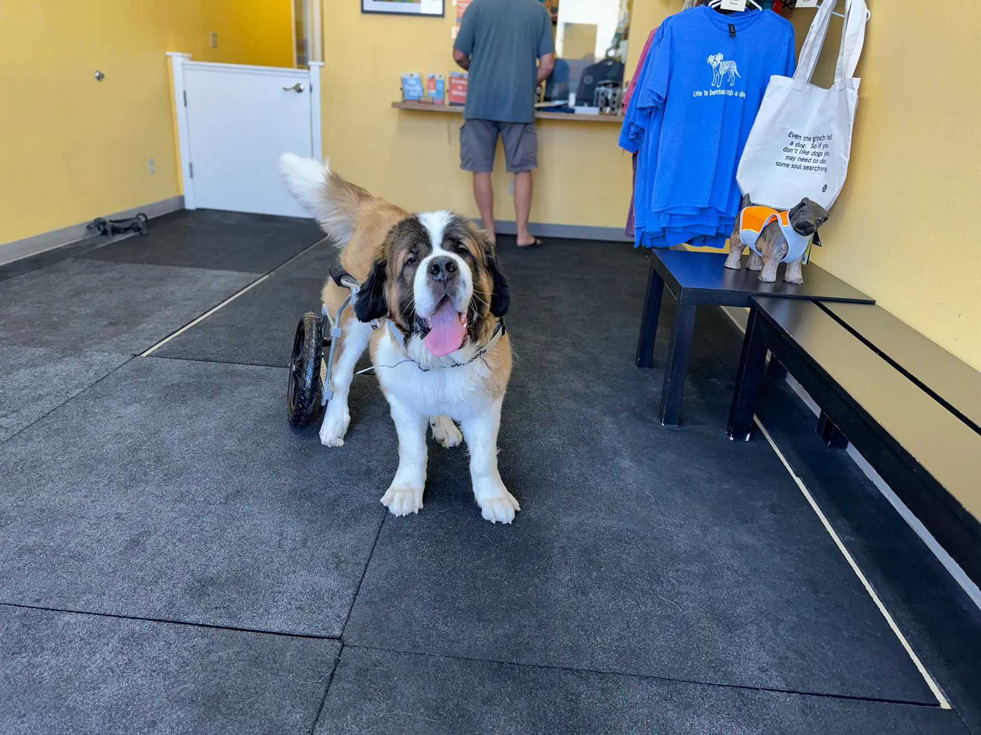 St Bernard with Cart
