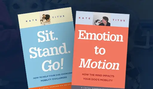 Two books by Kate Titus